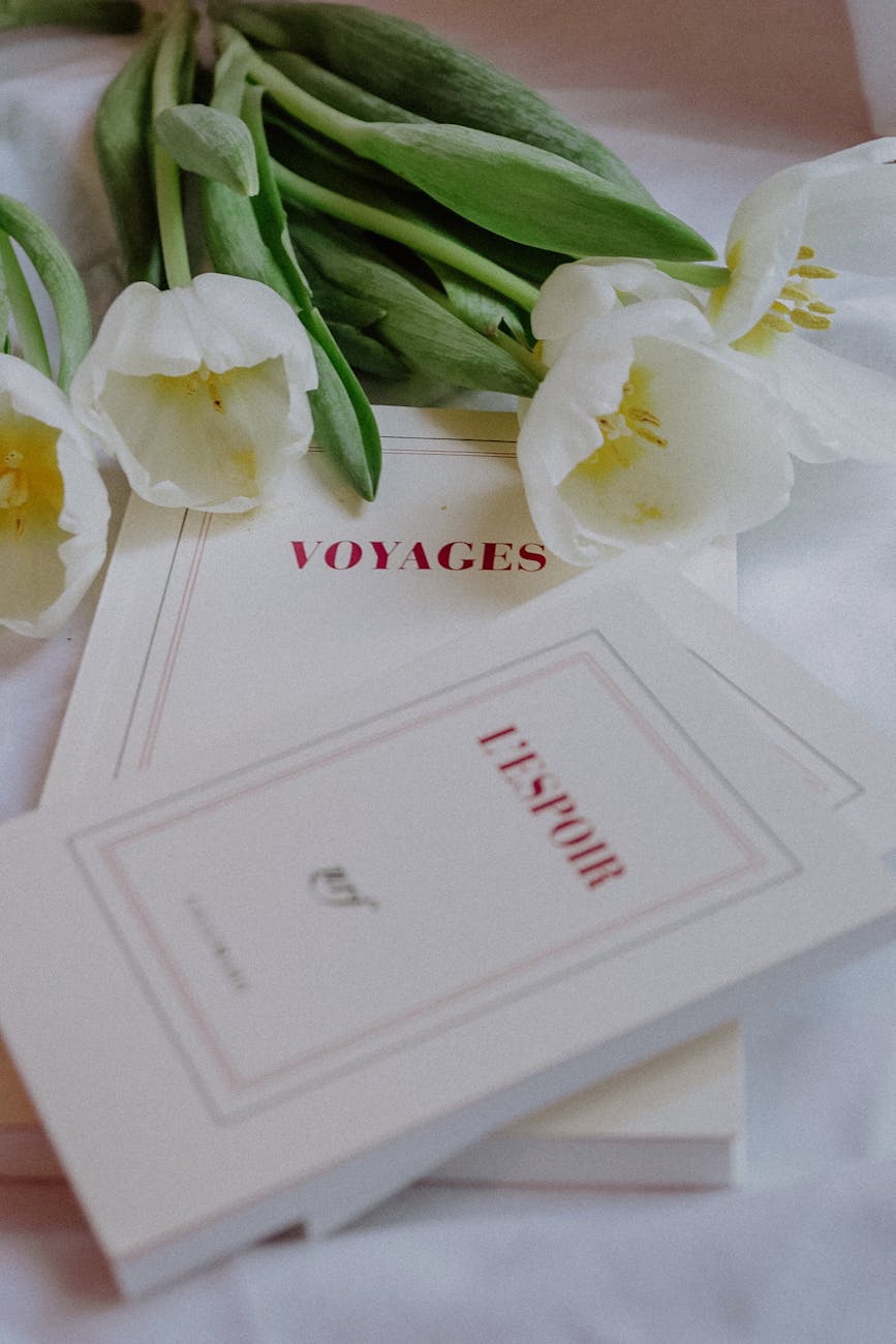 Temps de pause et d'écriture dans une ambiance apaisante