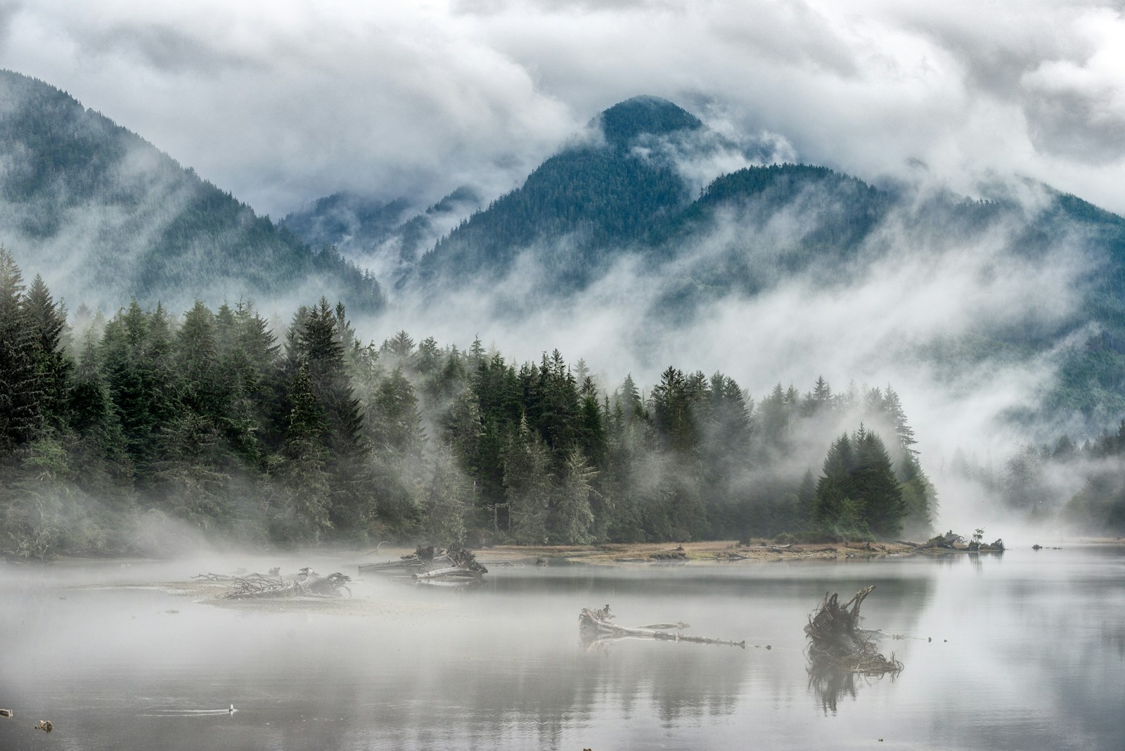 Lac et forêt enveloppés de brume dans une lumière douce. Photographie d’ambiance.